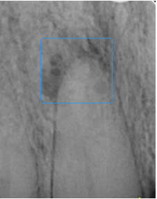 2023-05-03_13h02_23.png